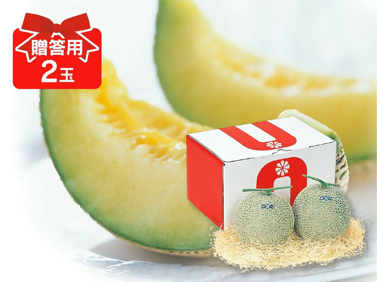 マスクメロン 2玉入 贈答用