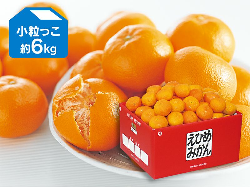 内容量 愛媛みかん 小粒っこ 約6kg （67～87個程度・S玉中心） 品格 小粒っこ： 美味しさはそのまま、小玉をバラ詰めにてお届けいたします。 産地 愛媛産 出荷場所 のま果樹園(愛媛県今治市)より発送 出荷日 11月中旬頃～1月下旬頃...