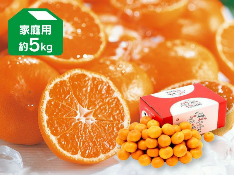楽天市場】愛媛 ハウスみかん 5の通販
