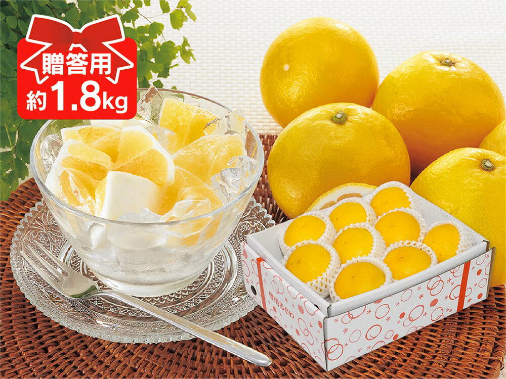 乐天商城 - ニューサマーオレンジ 約1.8kg 贈答用