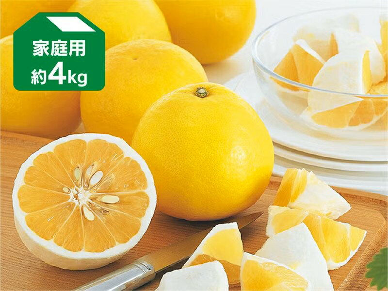 乐天商城 - ニューサマーオレンジ 約4kg 家庭用【5月8日頃より順次発送】
