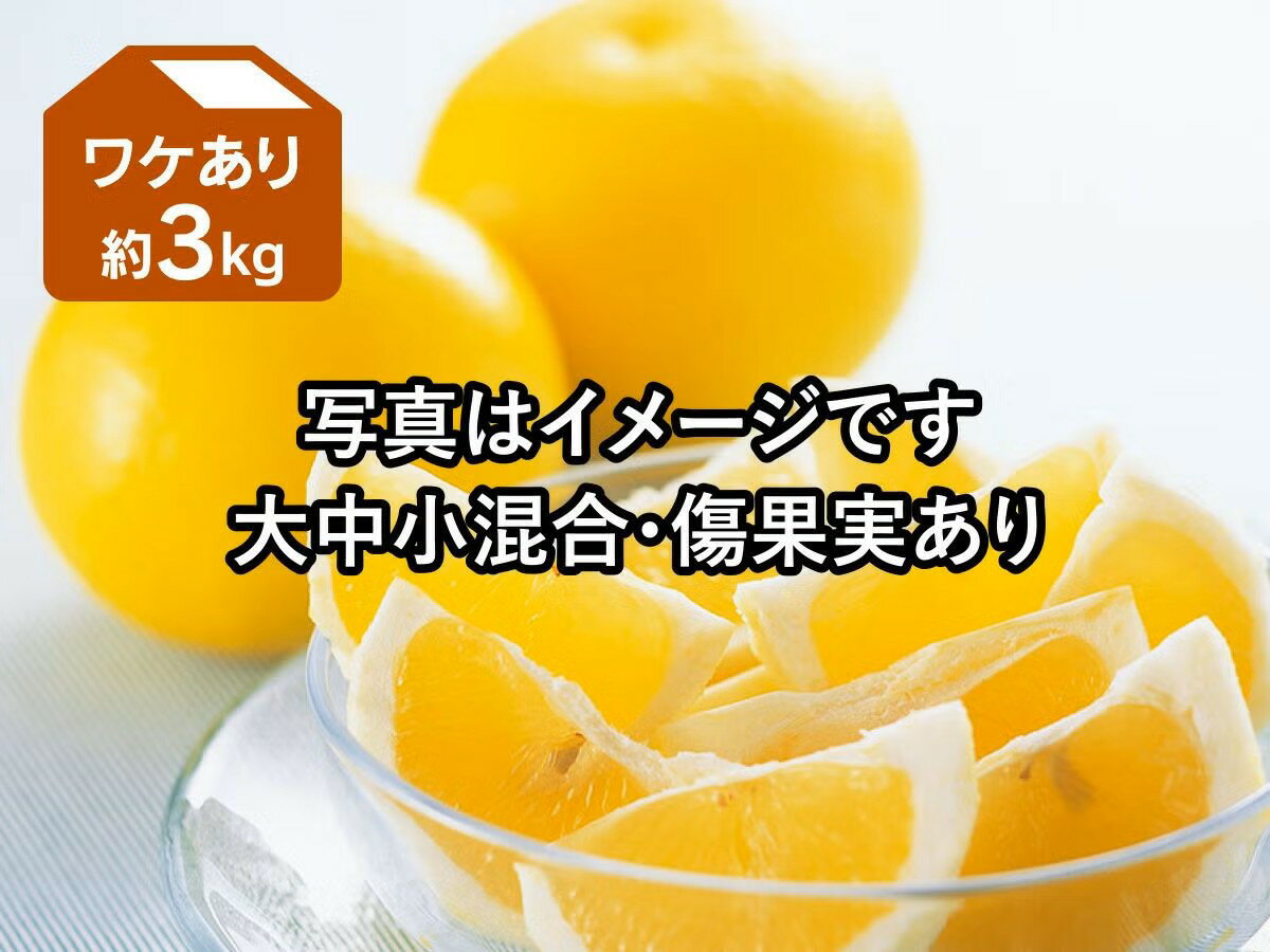 乐天商城 - ニューサマーオレンジ 約3kg ワケあり【5月8日頃より順次発送】