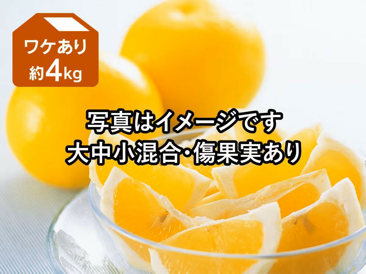 乐天商城 - ニューサマーオレンジ 約4kg ワケあり【5月8日頃より順次発送】