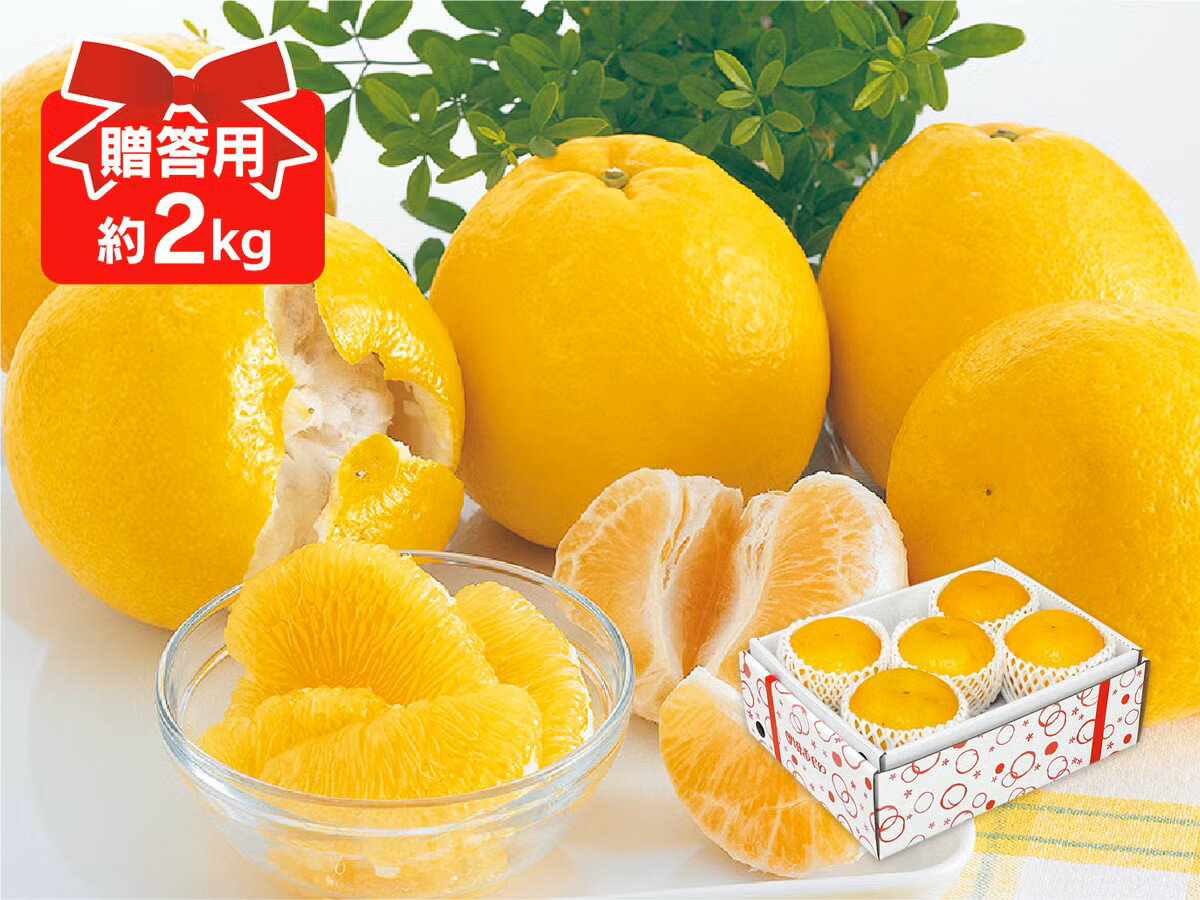 河内晩柑 約2kg 贈答用.