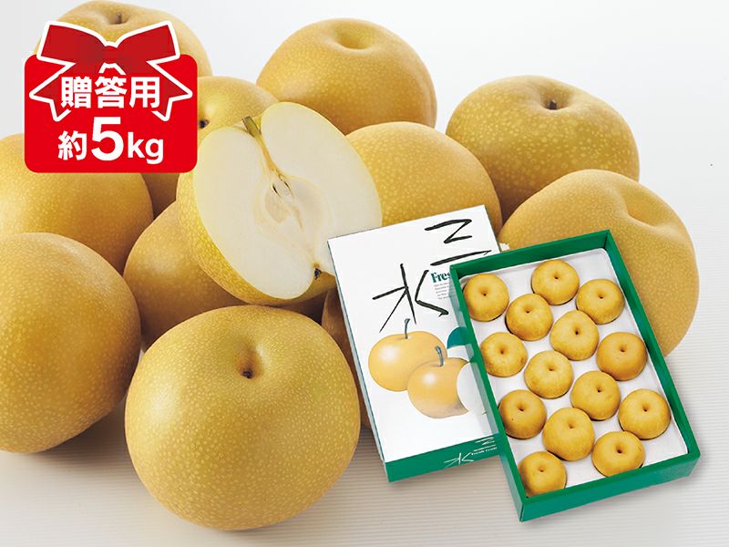 豊水梨 約5kg