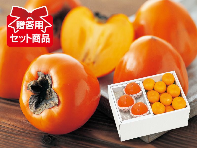愛媛みかんと富士柿のセット(4)