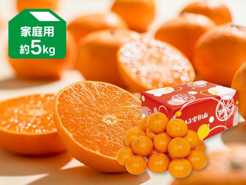 露地せとか 約5kg 家庭用