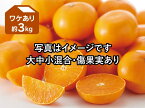 ワケありせとかみかん約3kg（愛媛県産）【GW連休前の出荷は終了しました】