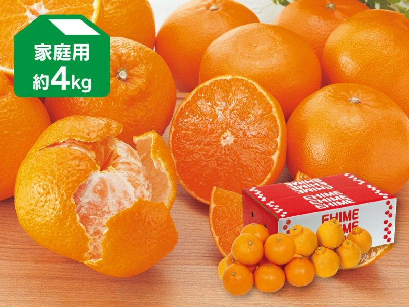 デコタンゴール＆せとか 約4kg 家庭用