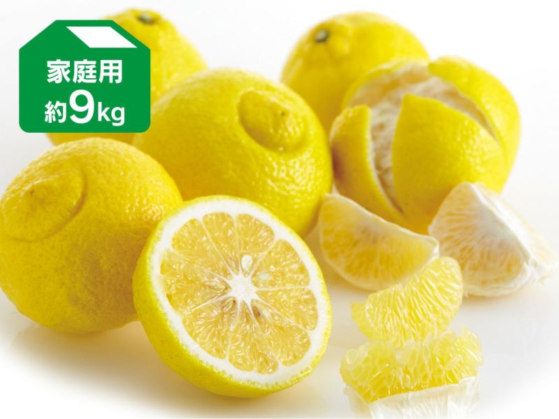 はるか 約9kg 家庭用