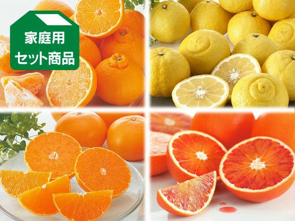 3月の柑橘4種味比べ「プチ」セット【3月2日頃より順次発送】