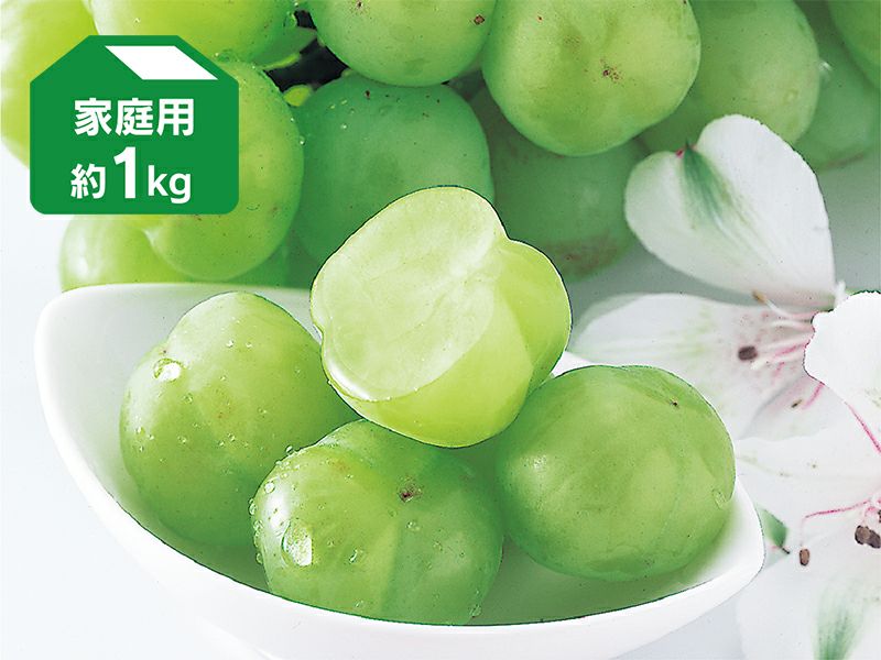 ＜家庭用＞「瀬戸ジャイアンツ」（桃太郎ぶどう）約1kg