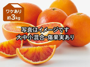 ワケありブラッドオレンジ（タロッコ）約3kg【訳あり みかん 柑橘 国産 愛媛産】