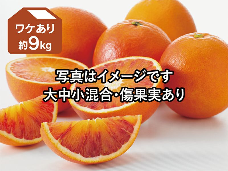 みかん ジューシーオレンジ 7kg 送料無料 ＜2024年4月上旬より出荷予定＞ 河内晩柑 文旦 熊本産 柑橘 果汁たっぷり 農家直送 フルーツ 果物 おおしまや