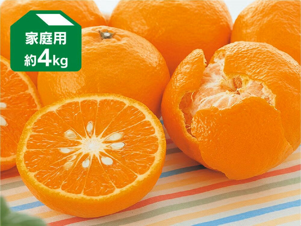 乐天商城 - カラマンダリン 約4kg 家庭用