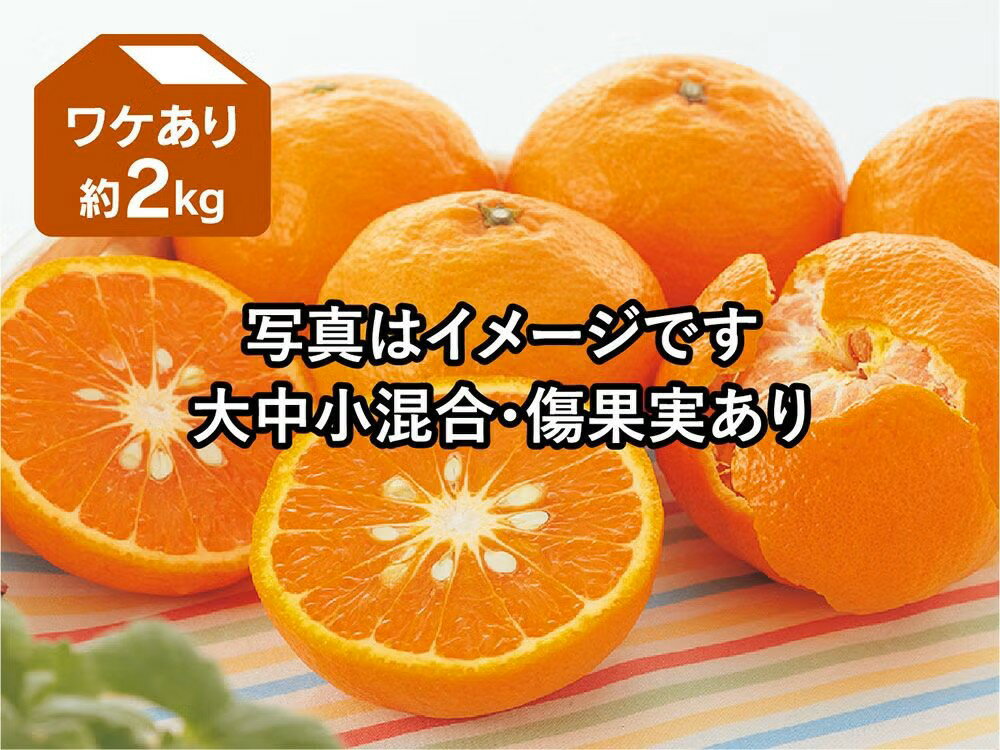 乐天商城 - カラマンダリン 約2kg ワケあり
