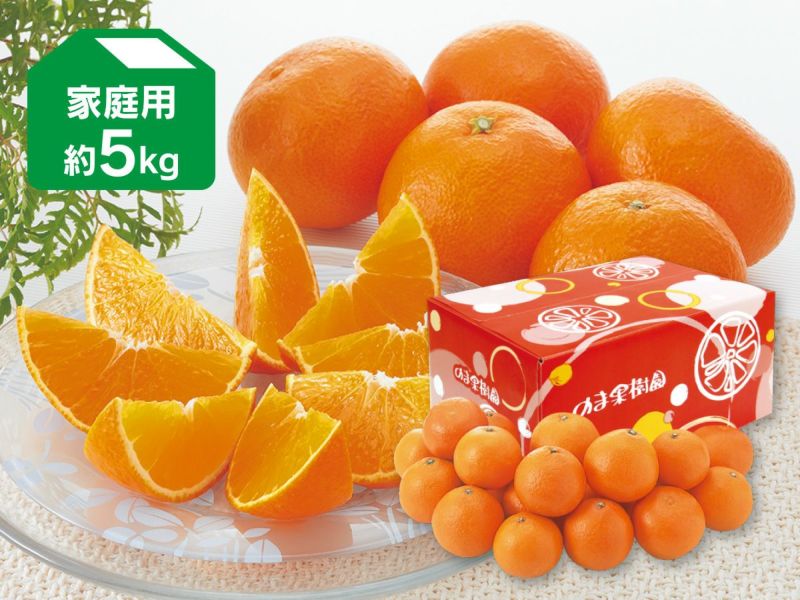 媛まどんな 約5kg 家庭用（愛媛県産）【愛媛果試第28号】