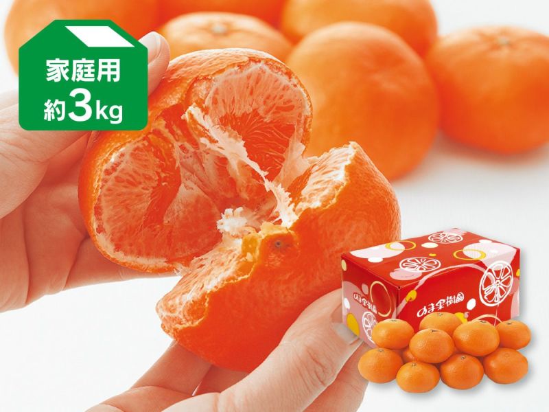 甘平（かんぺい）みかん家庭用約3kg（愛媛県産）のサムネイル