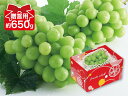 シャインマスカット贈答用約650g(1~2房)