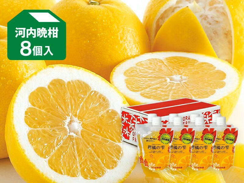 柑橘の雫・飲むゼリー 河内晩柑 8個入