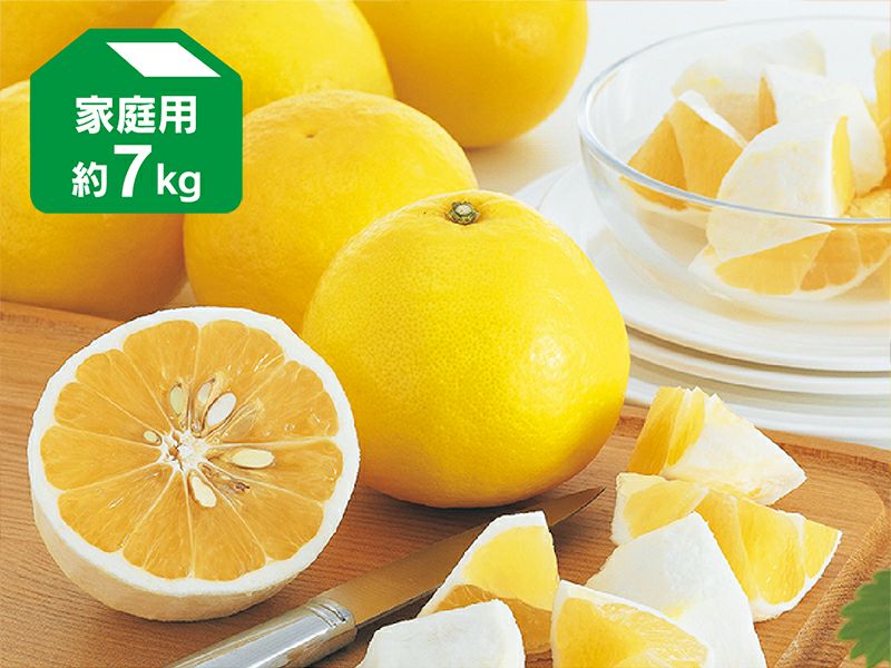 乐天商城 - ニューサマーオレンジ 約7kg 家庭用
