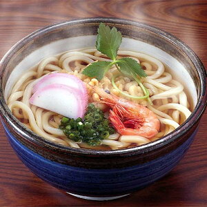 【送料無料】【さぬき麺業】さぬきの夢半生うどん【讃岐うどん】※代引・同梱不可