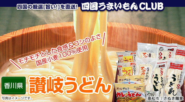 【送料無料】【さぬき麺業】さぬきうどんバラエティセット【讃岐うどん】※代引・同梱不可