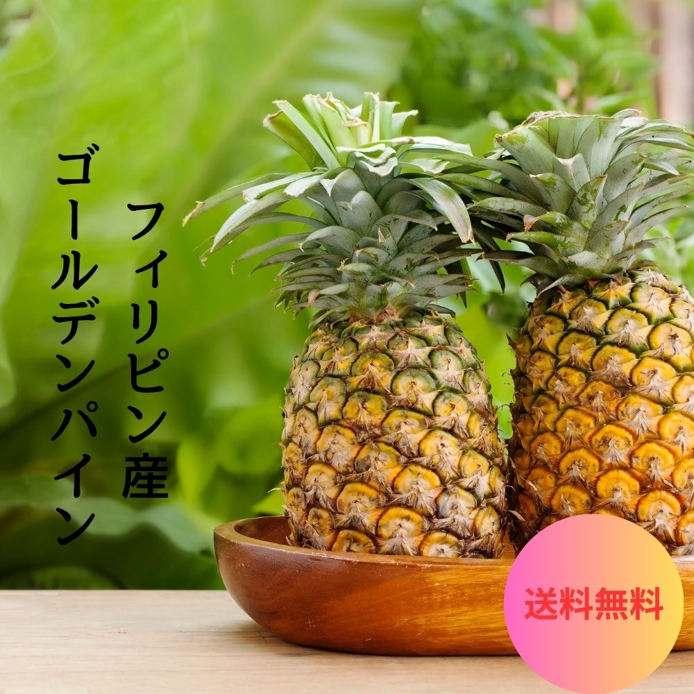 【開店セール 全品10%OFFクーポン配布中!】 【フィリピン産】 ゴールデンパイン 約12キロ 6玉