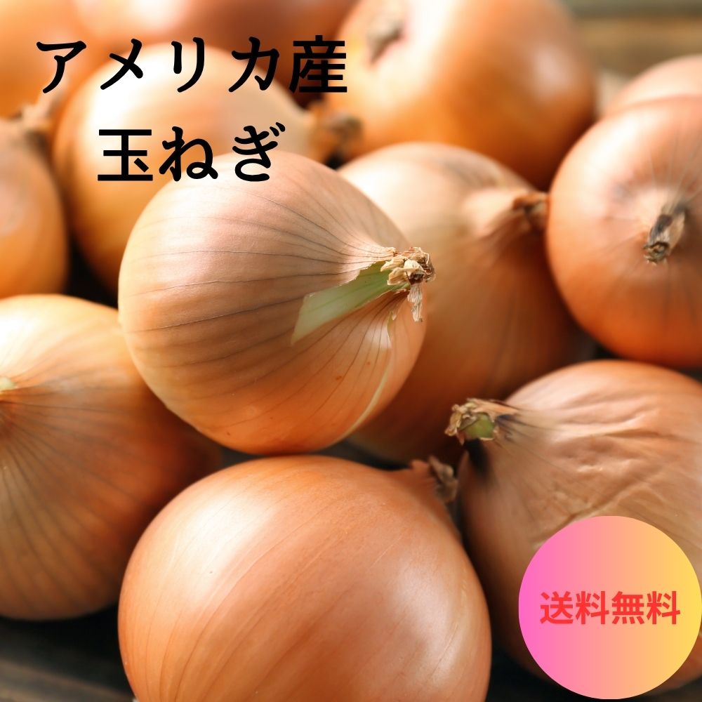 ［アメリカ産］ 玉ねぎ
