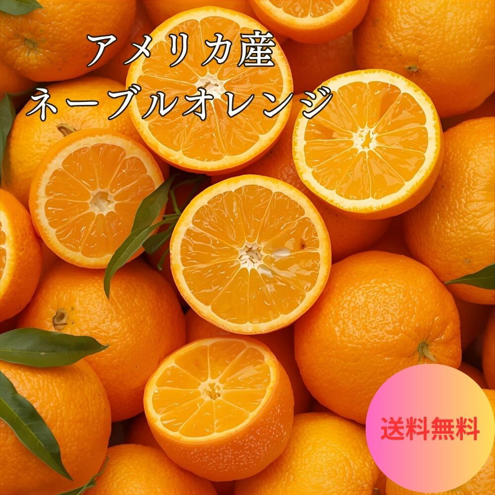 【アメリカ産】ネーブル オレンジ 56玉～72玉 17Kg 送料無料 目安個数（52個～68個ほど）大玉