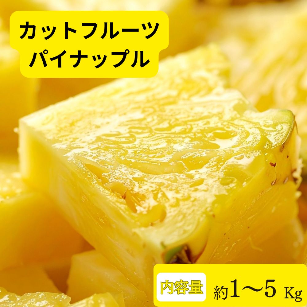 パイナップル カットフルーツ 1kg 3kg 5kg（1kg×複数パック） パイン そのまま食べられる 冷蔵 送料無料