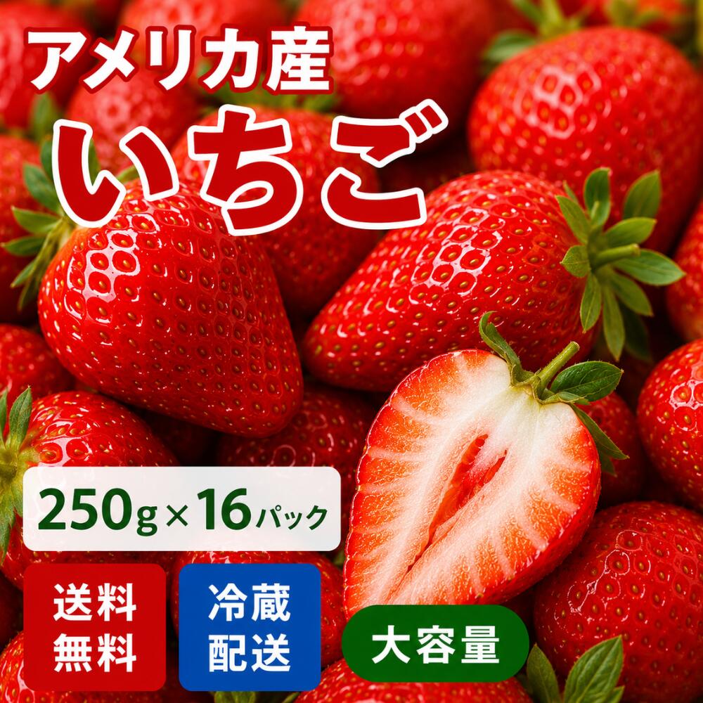 アメリカ産 いちご 250g 16パック入り 1パック15粒 送料無料 苺 フルーツ 大容量 ...
