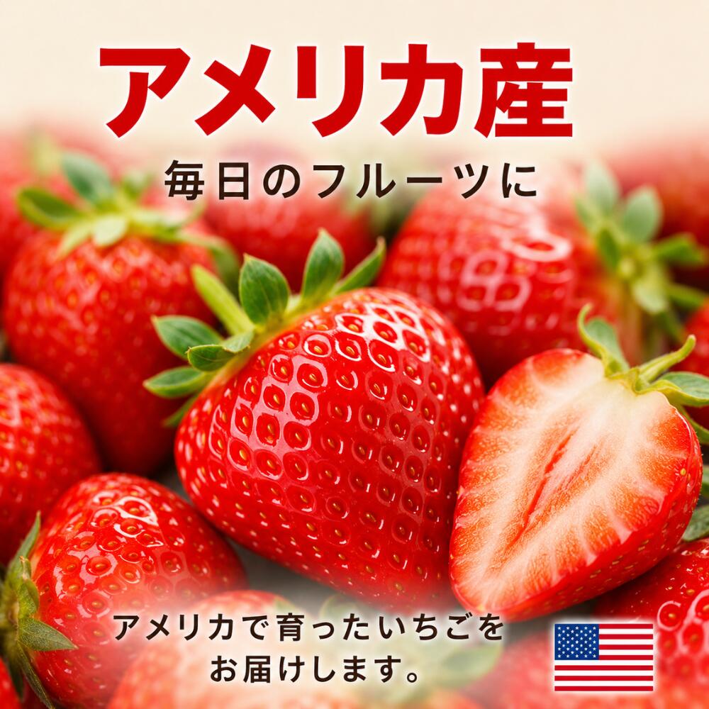 アメリカ産 いちご 250g 16パック入り 1パック15粒 送料無料 苺 フルーツ 大容量 ...