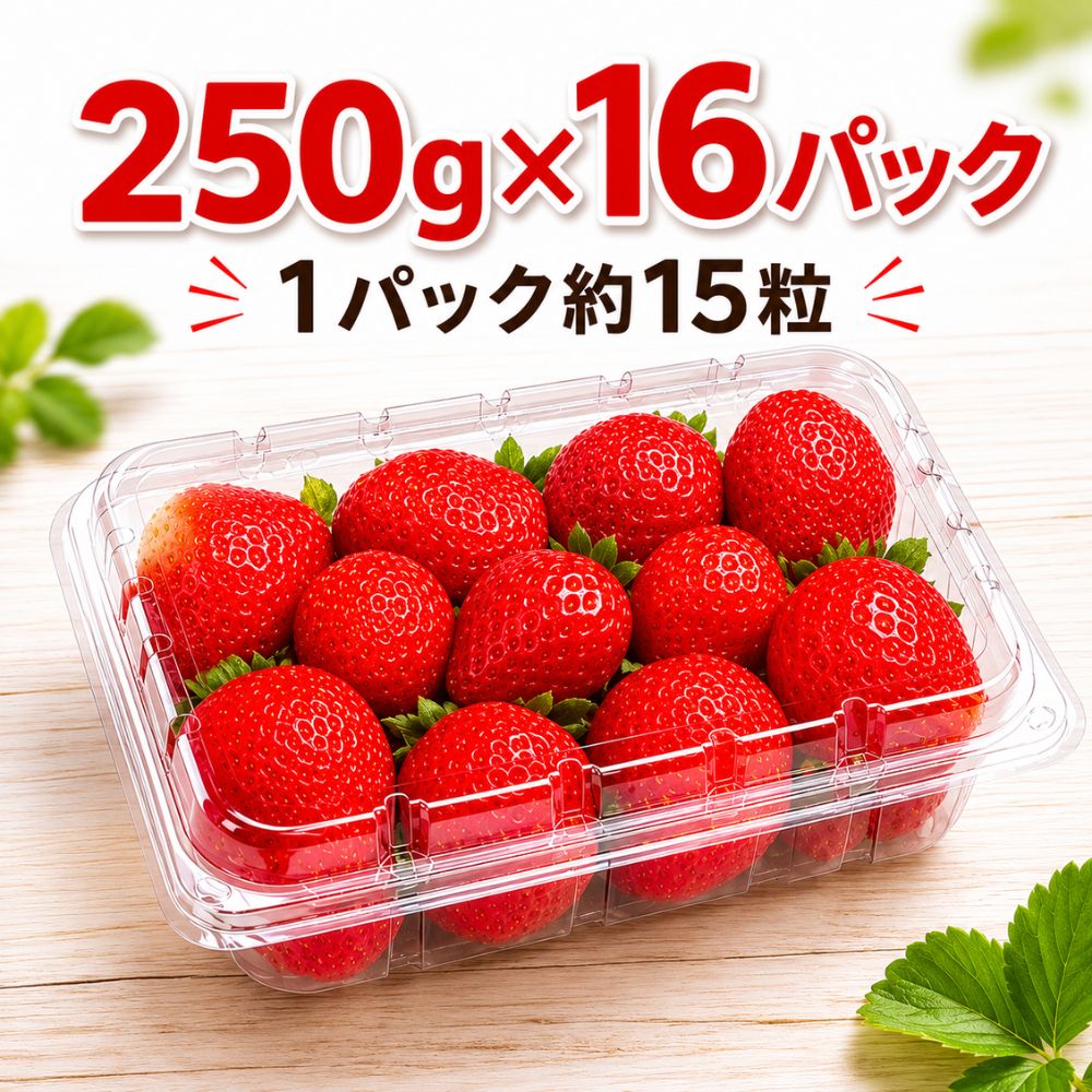 アメリカ産 いちご 250g 16パック入り 1パック15粒 送料無料 苺 フルーツ 大容量 ...