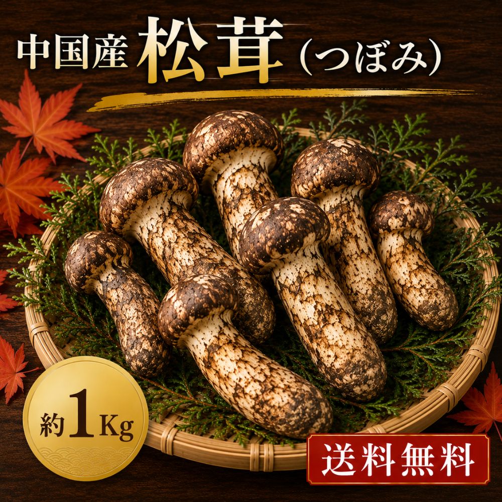【レビュー投稿でほし芋プレゼント】中国産 松茸 約1kg つぼみ 大きさおまかせ 送料無料 お買い得 生松茸 秋の味覚 松茸ご飯 土瓶蒸し 焼き松茸 家庭用 業務用