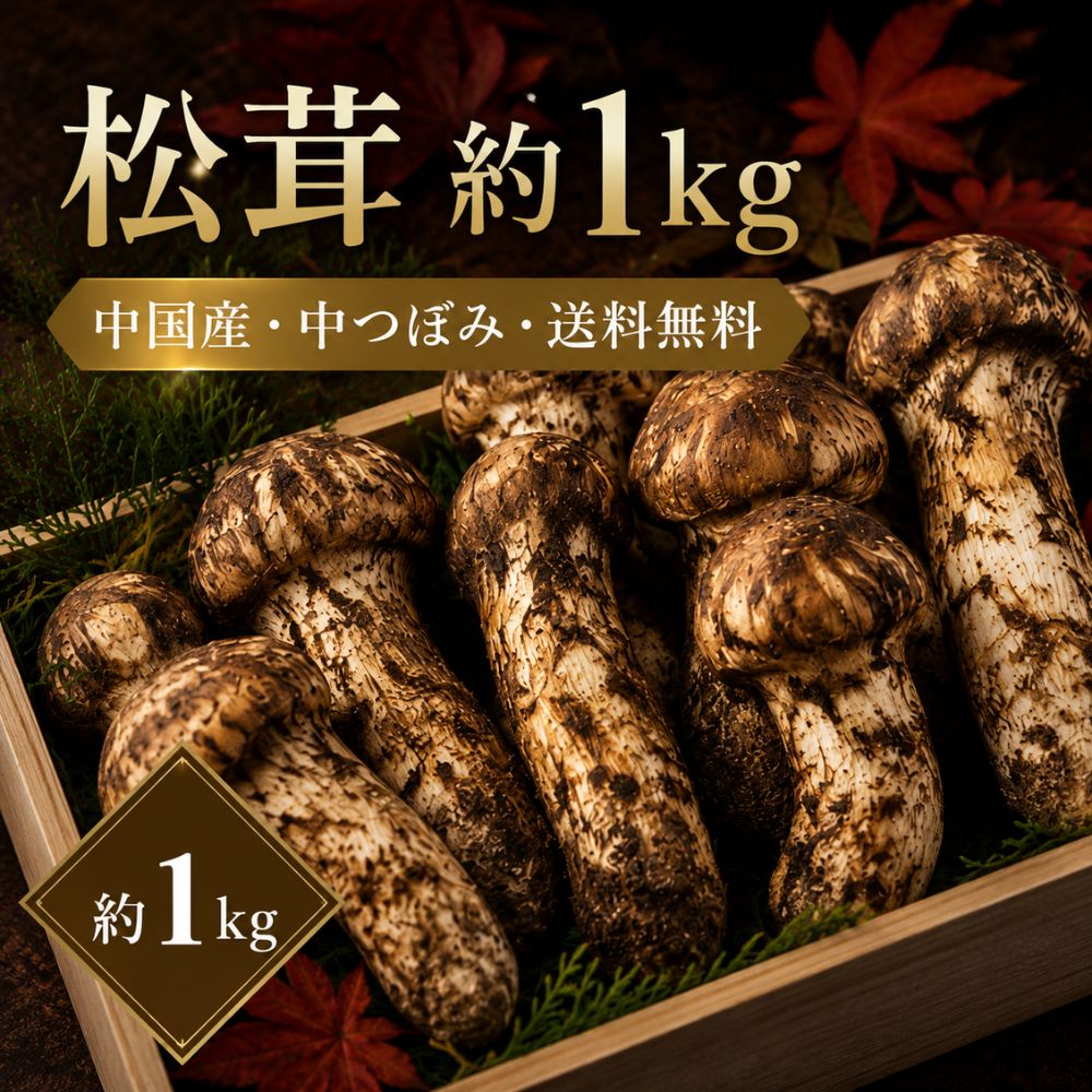 【レビュー投稿でほし芋プレゼント】松茸 中国産 約1kg 中つぼみ 送料無料 秋の味覚 マツタケ 松茸ご飯 焼き松茸 天ぷら 業務用 家庭用