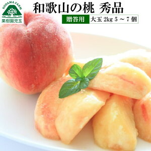 桃 お中元 ギフト 大玉 和歌山 贈答用 約2kg 5〜7玉 送料無料 最高級 秀品 熨斗 もも モモ お盆 お供 御供 果物 贈答品 進物 御中元 御中元ギフト 中元 夏ギフト 紀の川 和歌山県 フルーツ くだもの 出産祝 白桃 白鳳 なつっこ 川中島白桃 産地直送