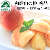 桃 お中元 ギフト 大玉 和歌山 贈答用 約2kg 5〜6玉 送料無料 最高級 秀品 熨斗 も...