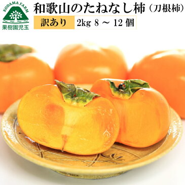 【送料無料】和歌山のたねなし柿(刀根早生柿)訳あり家庭用2kg 8〜12個前後【柿/カキ/訳あり/わけあり/ワケあり/お試し/おためし】