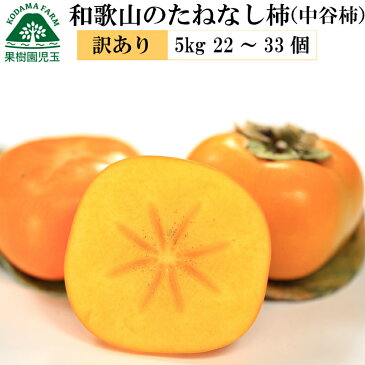 【送料無料】和歌山のたねなし柿（中谷早生柿）訳あり家庭用5kg　22〜32個【柿/かき/カキ/訳あり/わけあり/ワケあり/お試し/おためし】