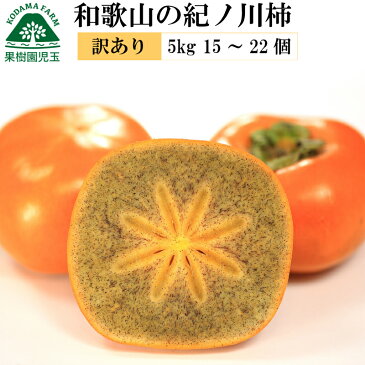 【送料無料】紀ノ川柿　訳あり家庭用5kg　15個〜22個　【柿/かき/カキ/訳あり/わけあり】【柿　和歌山】【柿　送料無料】【柿　家庭用】