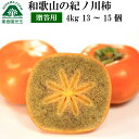 紀の川柿 柿 和歌山 贈答用 ギフト 4kg 送料無料 13〜15個 紀ノ川柿 きのかわがき 黒あま 黒あまたねなし柿 種無し柿 種なし柿 種無しかき フルーツ...