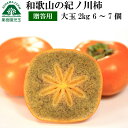 紀の川柿 和歌山 柿 贈答用 ギフト 大玉 2kg 化粧箱入り 送料無料 6〜7個 赤秀 紀ノ川柿 きのかわがき 黒あま 柿 黒あま柿たねなし柿 種なし柿 フル...