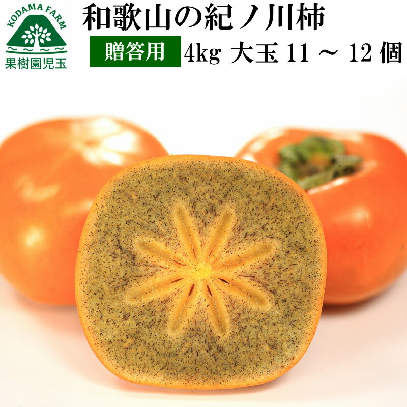 紀の川柿 和歌山 柿 贈答用 ギフト 大玉 4kg 化粧箱入り 送料無料 11〜12個 赤秀 紀ノ川柿 きのかわがき 黒あま 黒あま柿 たねなし柿 種無し柿 種なし柿 種無しかき 種なし フルーツ 果物 食品 かき 秋の味覚 栄養 効能 タンニン お祝 内祝 贈答 プレゼント 贈り物 39 産地