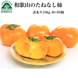 柿 10kg 訳あり 訳あり柿 和歌山県産 送料無料 40〜60個前後 5kg2箱セット たねなし柿 種無し柿 種なし柿 種無し 訳アリ柿 種なし フルーツ 果物 食品 通販 旬 訳アリ わけあり ワケあり 渋抜き済 自家用 平種無し 39ショップ 産地直送 マラソン