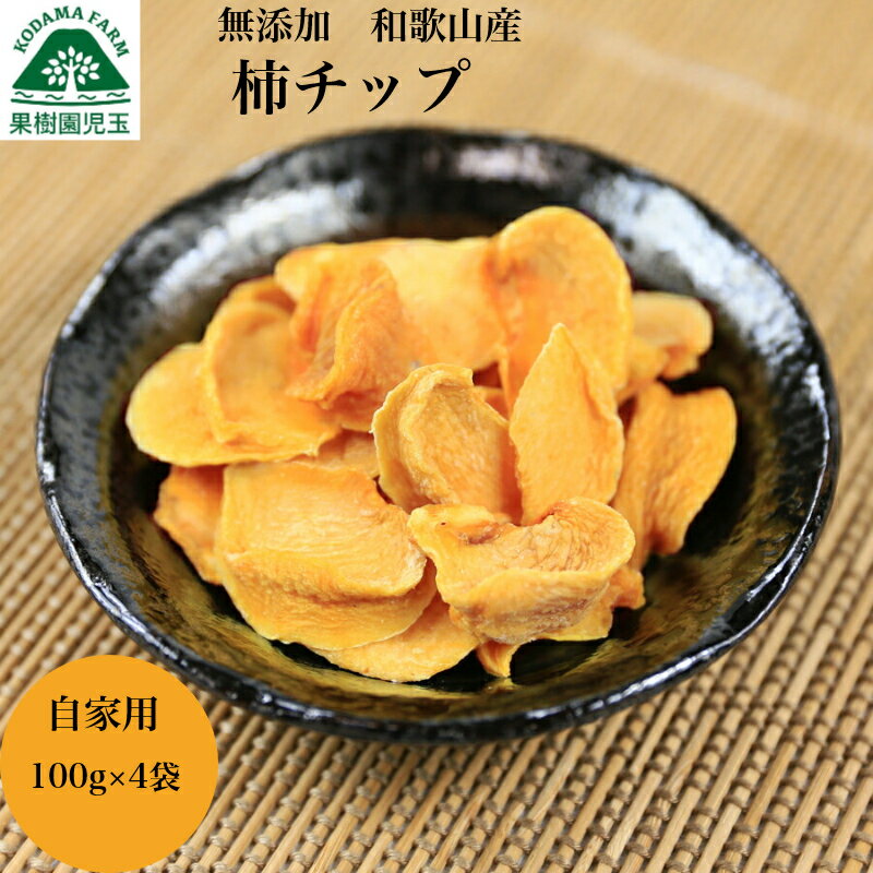 ドライフルーツ 柿 無添加 柿チップ 干し柿 100g×4袋 ドライ柿 和歌山 送料無料 自宅用 干柿 訳あり 国産 おやつ わけあり おつまみ グルメ フルーツ 果物 食品 砂糖不使用 フルーツティー 朝食 ワイン 和歌山県産 39ショップ