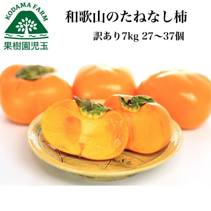 【ふるさと納税】柿(種無し) 6個入 (約2kg) 秀品大玉【2024年9月下旬頃より発送】【KT1】 | 柿 かき フルーツ 果物 くだもの 食品 人気 おすすめ 送料無料