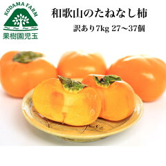 https://thumbnail.image.rakuten.co.jp/@0_mall/kajyuenkodama/cabinet/02981093/imgrc0090031429.jpg