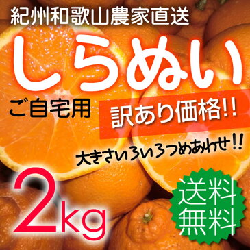 【送料無料】和歌山の甘熟濃厚しらぬい（デコポン）秀品2kg 8〜12個 3L〜Mサイズ混合【デコポン/でこぽん/みかん/不知火/ワケあり/訳あり/わけあり/デコみかん/でこみかん】