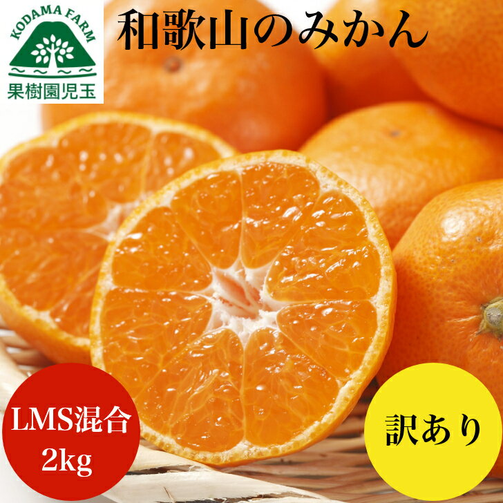 みかん 訳あり 2kg みかん 和歌山 和歌山県 送料無料 LMS混合 訳ありみかん わけありみかん 訳有りみかん 訳ありミカン ミカン 蜜柑 宮川早生 箱買い...